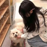 邦尼兔的奇幻星球免费下载